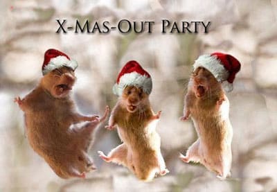 X-Mas-Out-2013-Veranstaltun